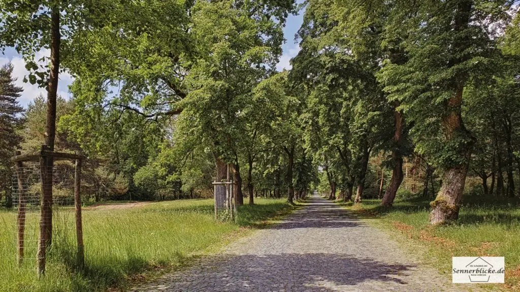 Allee der Haustenbecker Str