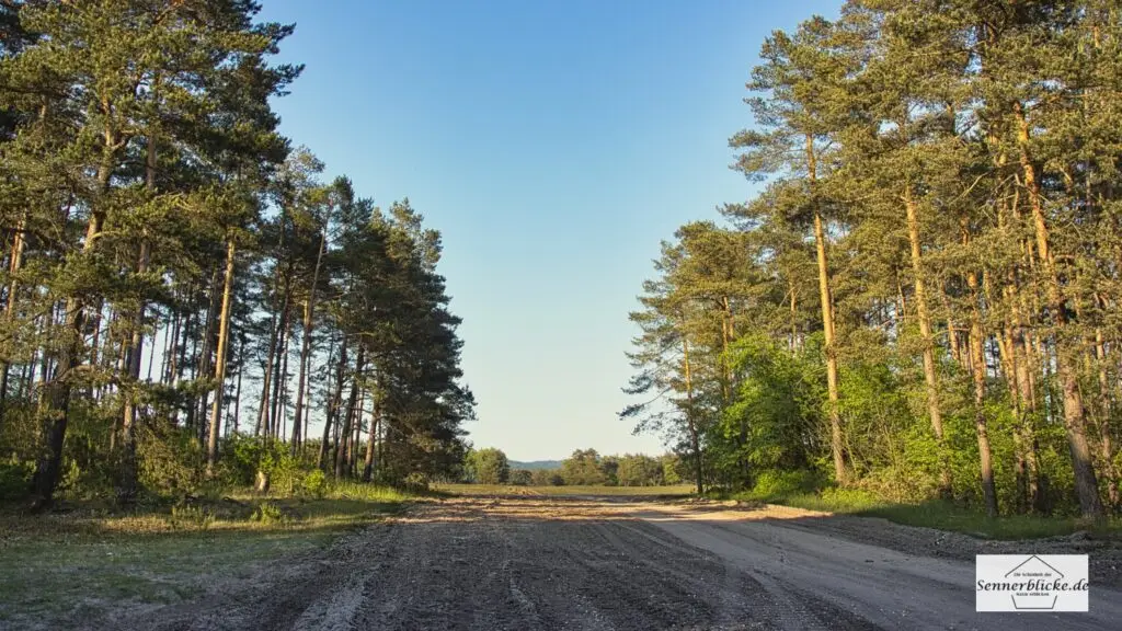 Sandspuren auf dem Truppenübungsplatz Senne