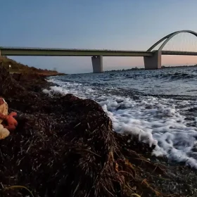Zwei Freunde auf Fehmarn - an Erinnerung an meinen Marvin